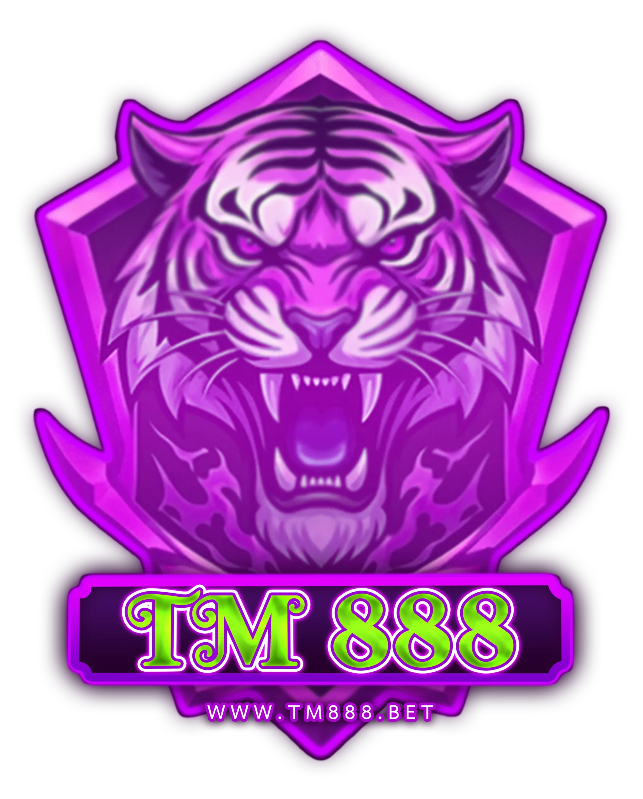 tm888.com